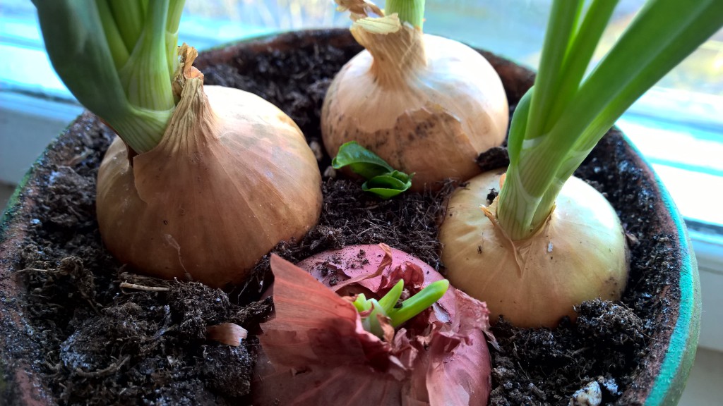 WP_20150411_08_36_28_Pro